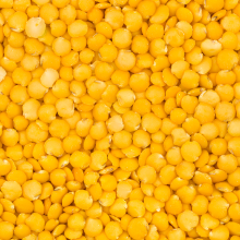 Lentil yellow polished, refined "Football"